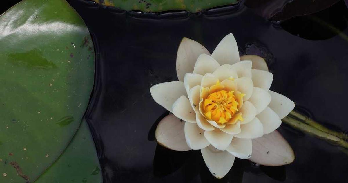 打造專業部落格的 10 個技巧