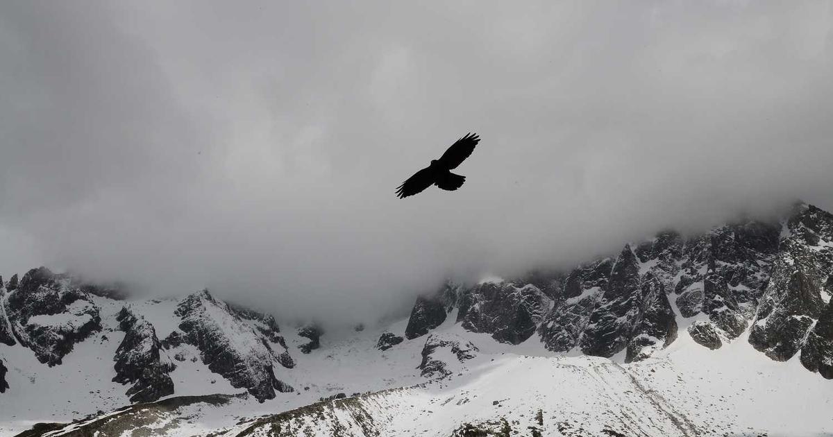 社交媒體整合建議