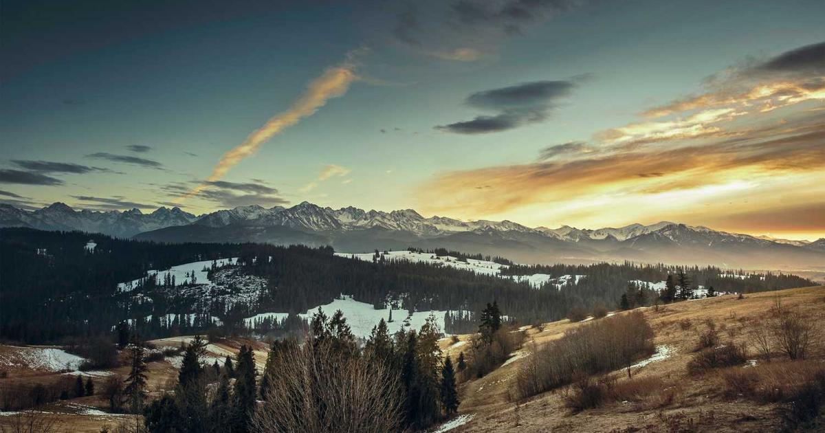 數據分析與決策